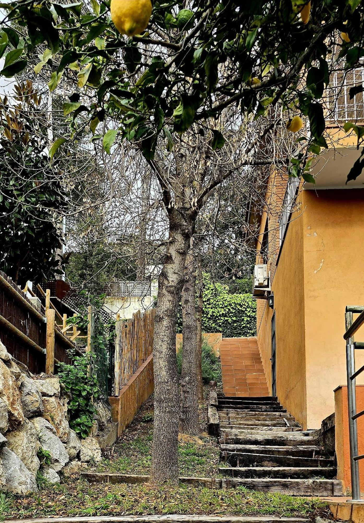Vila Cal Nene - Plamun Es Begur Exteriér fotografie